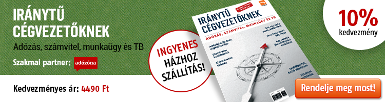 Iránytű cégvezetőknek - Adózás, számvitel, munkaügy és tb kép